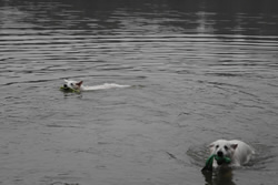 Baden Keona & Coralie